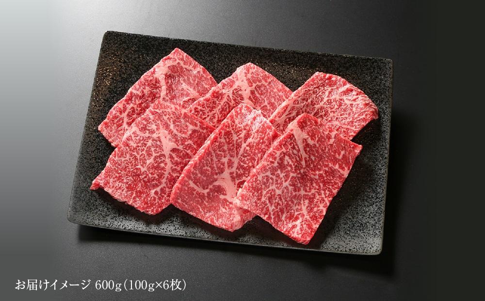 飛騨牛 赤身ステーキ 600g（100g×6枚） 冷凍真空パック | 肉 お肉 ステーキ 黒毛和牛 和牛 人気 おすすめ 牛肉 ギフト お取り寄せ【飛騨高山ミート MZ018】