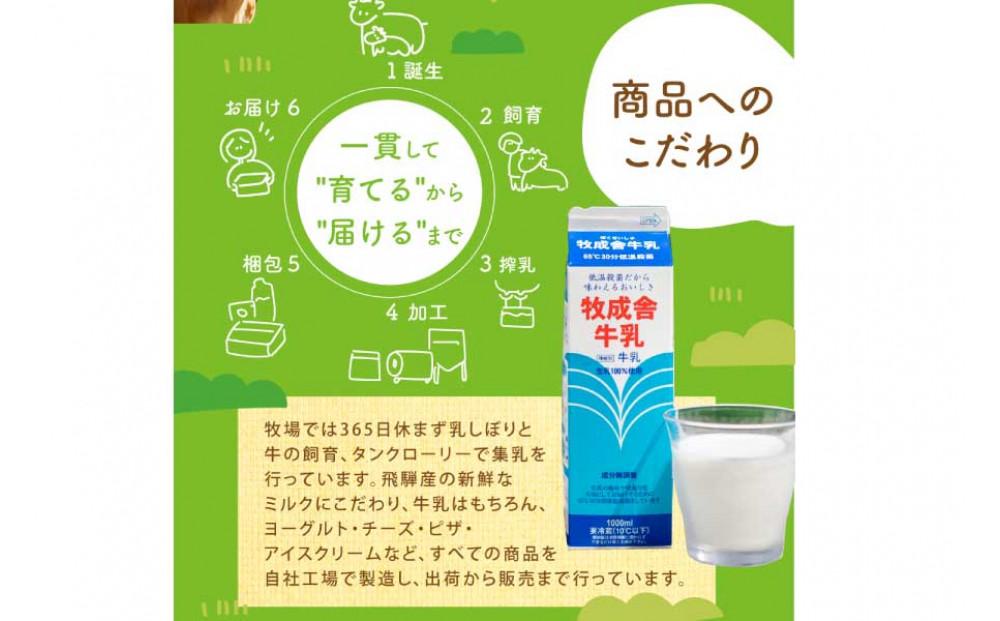 ＜牧成舎＞飛騨の牛乳屋さんが作った こだわりの 生乳100％のむヨーグルト（750ml×3本）| 無添加 生乳・砂糖・乳酸菌のみ ヨーグルト おいしい 健康 飛騨高山 (有)牧成舎 DF040