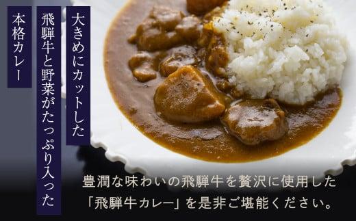 本格飛騨牛レトルトカレー 230g×3個 | 飛騨牛 レトルトカレー 贅沢 カレー 本格 中辛 ビーフカレー 便利 簡単調理 高山市 高山フローラ EY003
