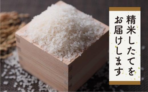 【定期便】飛騨コシヒカリ 5kg×6ヶ月 特別栽培米 うまいうまい飛騨の米 | 白米 お米 節減農薬米 のし対応 飛騨高山 ファームジネンいいむら GG007