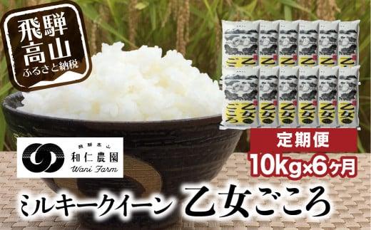 【定期便 6ヶ月】（全6回）令和6年度産 新米 もちもち食感の飛騨産ミルキークイーン「乙女ごころ」10kg(5kg×2) | 米 お米 白米 飛騨高山 和仁農園 MF101