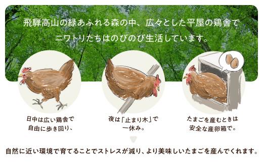 3ヶ月 定期便 平飼い 卵 30個セット (3回) 自然卵  卵 飛騨高山 森のたまご農園 TR4367