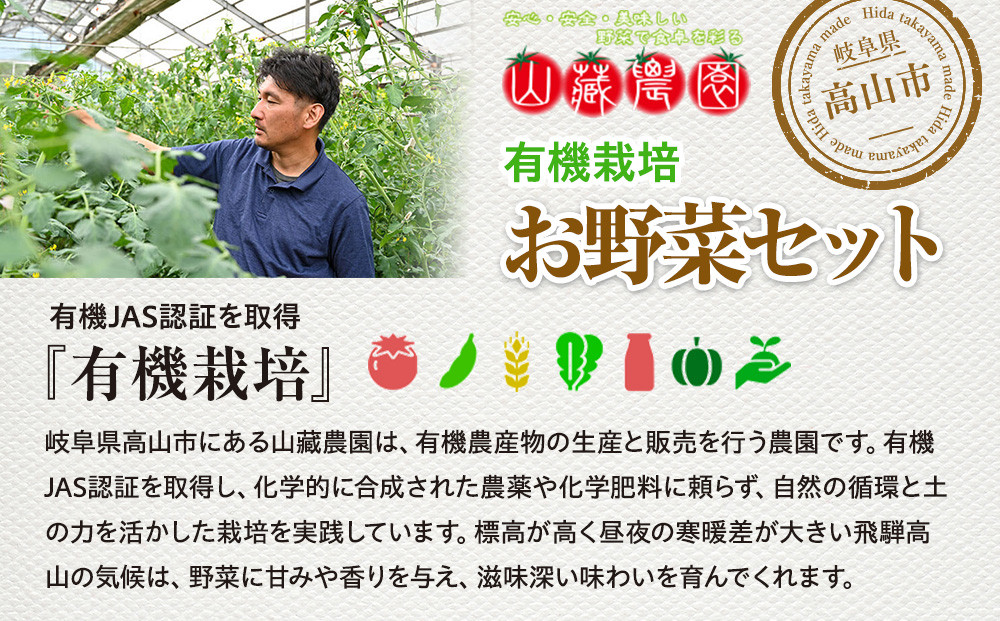 贈り物にも！夏秋の旬を詰めた飛騨高山の有機栽培お野菜ギフト｜夏野菜 秋野菜 新鮮  有機野菜 旬野菜 地元野菜 やさい 農園 高山市 山藏農園 JC023