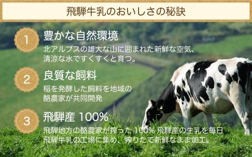 飛騨アイスクリームセット 4種8個入り | アイス 食べ比べ 飛騨牛乳 ミルク 濃厚 抹茶 ストロベリー チョコレート バニラ いちご  冷凍 詰め合わせ ギフト プレゼント 飛騨高山 飛騨酪農農業協同組合 CV005