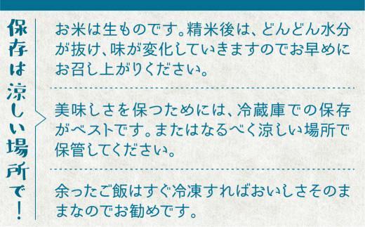 【令和6年産 新米】 天日干し コシヒカリ 白米 10kg | 飛騨産 こしひかり お米 特別栽培米 飛騨高山 ファームジネンいいむら GG002