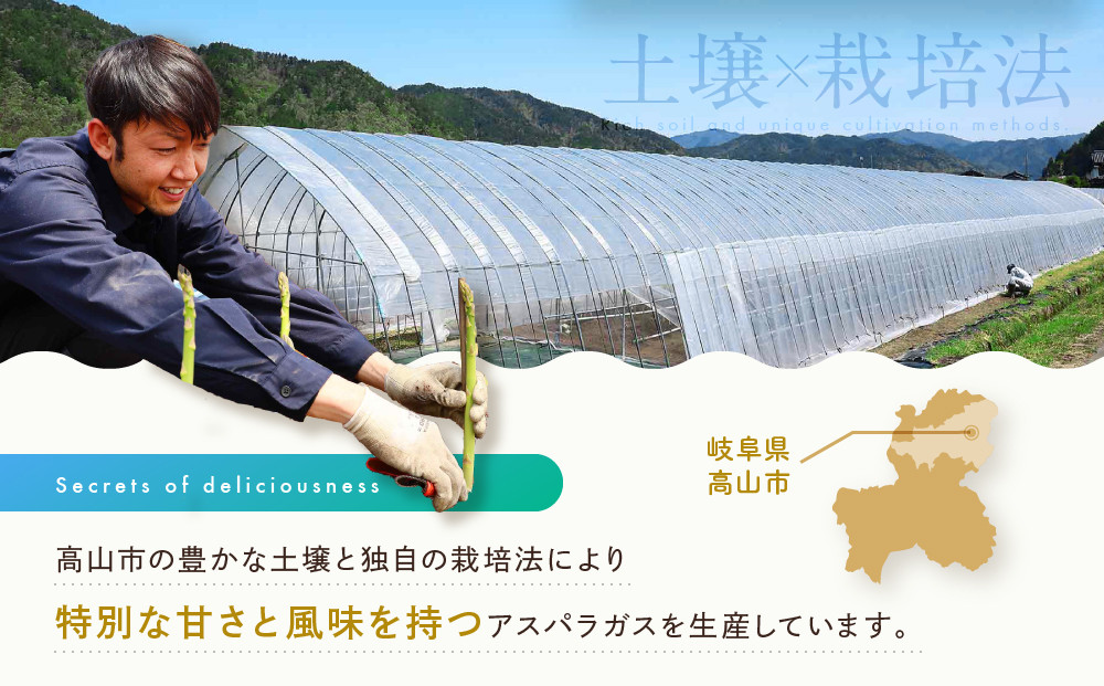 【2026年発送・先行受付】ひだっこアスパラ 500g | アスパラ アスパラガス 飛騨産 野菜 春  夏野菜  産地直送 新鮮 食品 おいしい 人気 飛騨高山 ひだっこの里 CM007