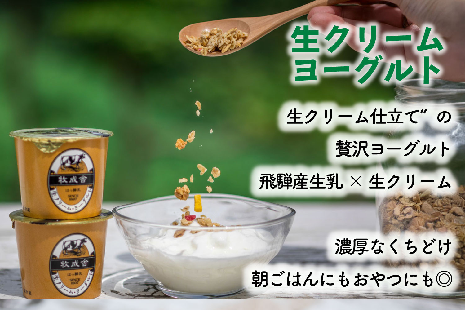 【12か月定期便】牧成舎のヨーグルト3種食べくらべセット｜ヨーグルト 乳製品 デザート 朝食 食生活 牧成舎DF215