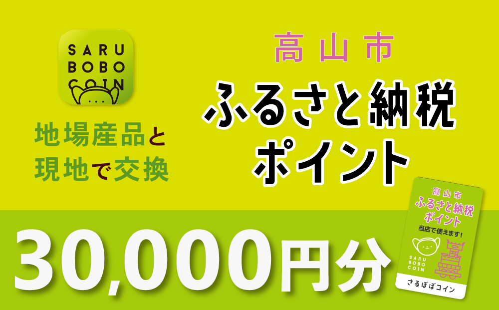 高山市ふるさと納税ポイント 30,000pt【飛騨信用組合 SB006】