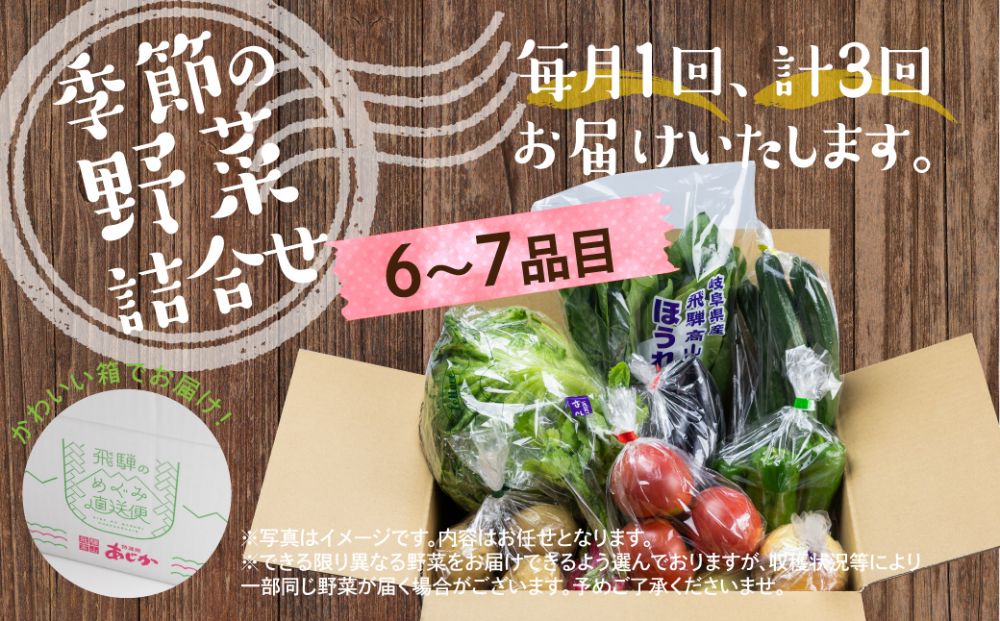 先行予約 定期便 3ヶ月 飛騨の野菜 6〜7点 野菜セット 3回 お届け 飛騨高山産 野菜  秋野菜 おまかせ お取り寄せ  産地直送 飛騨産 夏 秋 ふるさと納税定期便    GN100