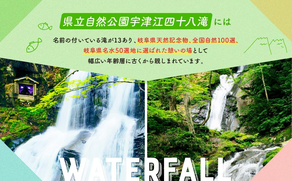 四十八滝温泉しぶきの湯遊湯館 入浴回数券12枚綴り 飛騨国府観光株式会社 EL002