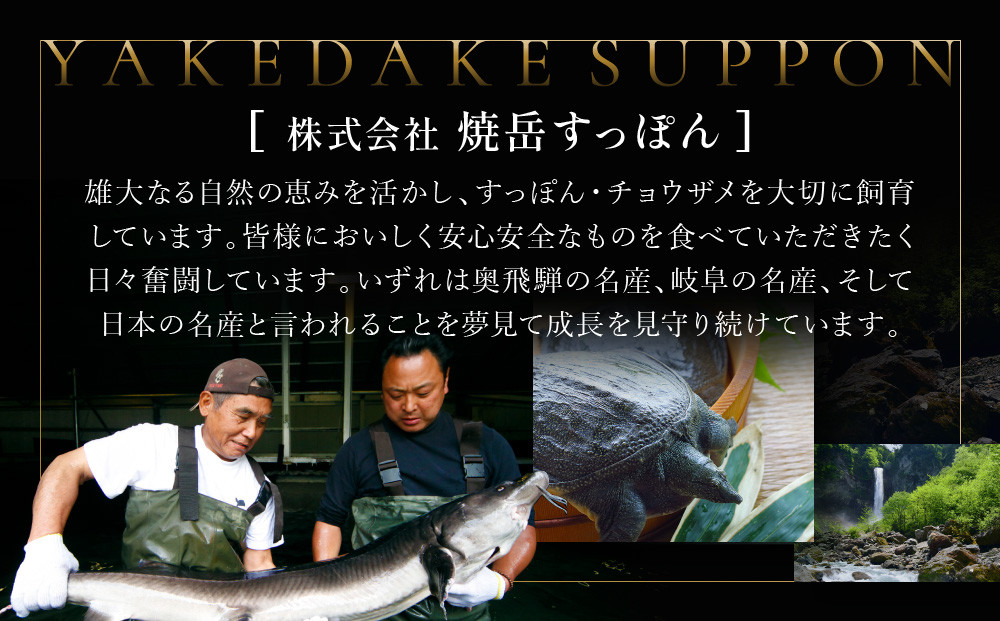 さばきすっぽん｜ 食品  美容 健康 コラーゲン 栄養 伝統 日本料理   焼岳すっぽん HE006