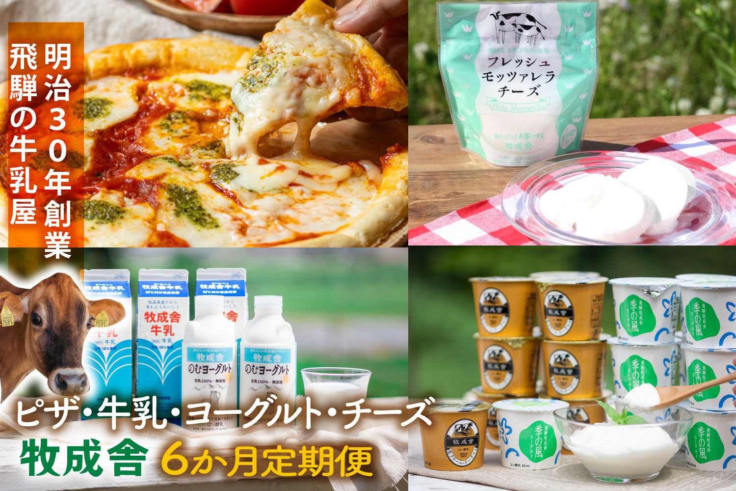 【全6回お届け】牧成舎の飛騨乳製品定期便｜ピザ・ヨーグルト・チーズ・牛乳詰め合わせ｜乳製品 詰合せ デザート 惣菜 乳飲料 牧成舎DF233