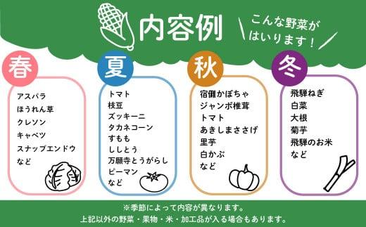 飛騨高山の新鮮野菜 おまかせセット | 野菜 おまかせ 詰め合わせ やさい 果物 くだもの ご当地 フルーツ 飛騨高山 まるっとプラザ BA007