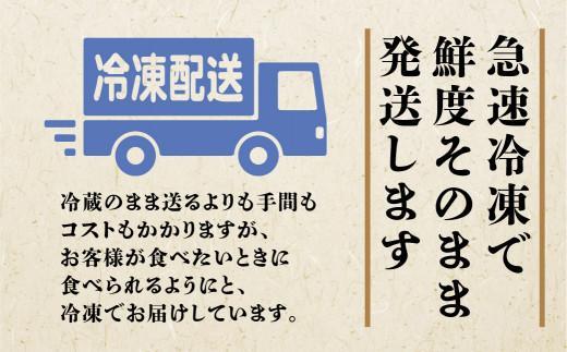 【5月発送】A5飛騨牛ヒレステーキ450g（150ｇ×3枚）|  飛騨牛 牛肉 和牛 国産 冷凍 化粧箱 ギフト 贈答 高級 贅沢 人気 おすすめ お祝い 記念日 誕生日 パーティ お取り寄せ 肉の匠家 BV020VC05