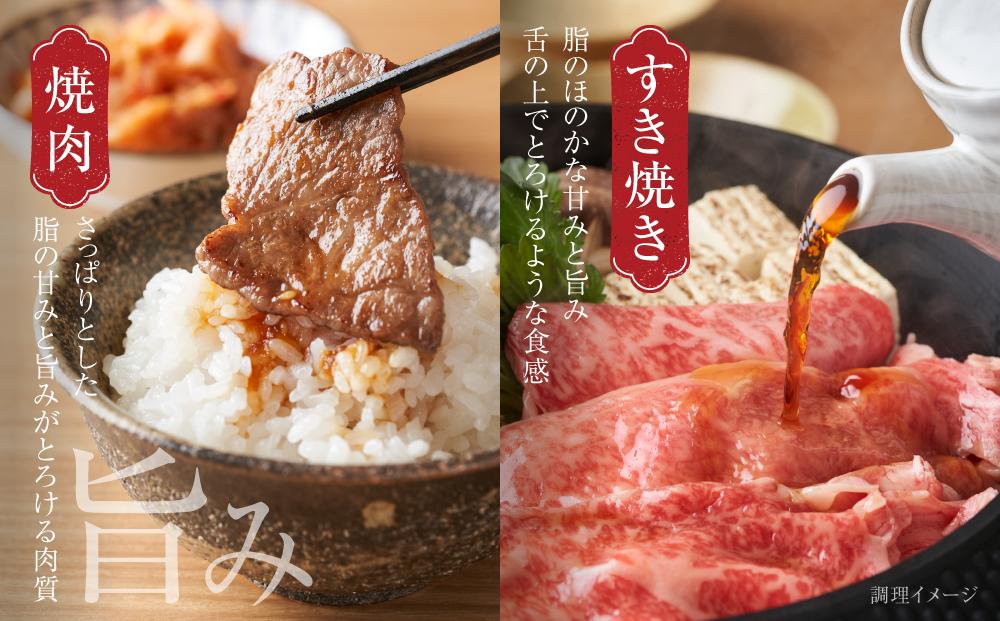 飛騨牛 赤身（スライス・焼肉） 600g（150g×各2パック ） 冷凍真空パック | 肉 お肉 焼肉 焼き肉 やきにく すき焼き すきやき しゃぶしゃぶ 黒毛和牛 和牛 個包装 小分け 人気 おすすめ 牛肉 ギフト お取り寄せ【飛騨高山ミート MZ015】