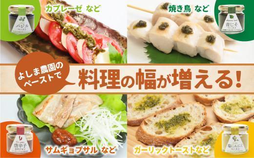 自然栽培調味料シリーズ バジル＆青じそ ペースト | バジル 青じそ パスタ ソース 薬味 塩 調味料 飛騨高山 よしま農園 CK009VC13