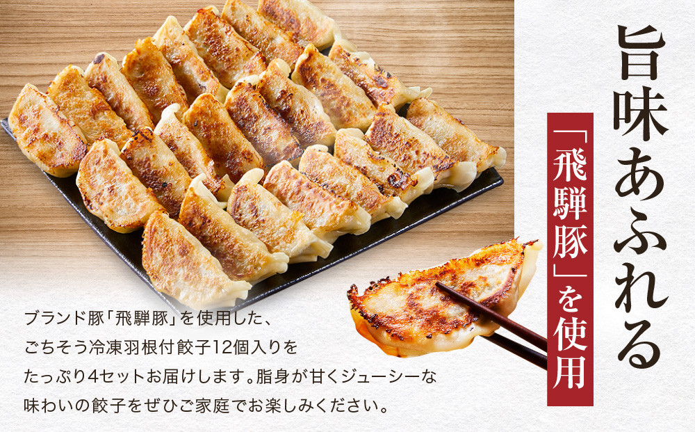 é£éššè±é€å12åå
¥ãÃ4ã»ããïŒç°¡æå
è£
ïŒ| ããããçŒãæ¹èª¬ææžä»ã èªå®
䜿ãã«æé© è é£å äººæ° äŸ¿å© é£éššé«å±± é€åå·¥æ¿ãã NL005