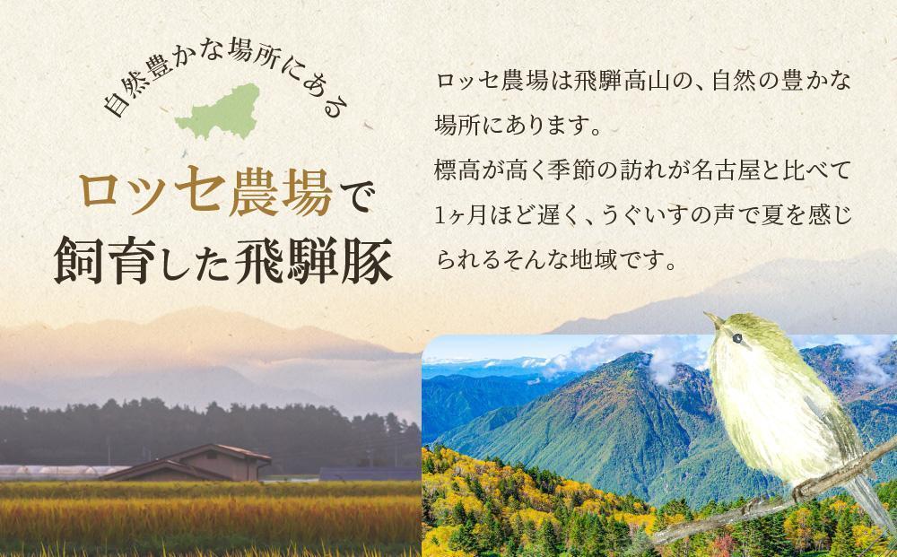 飛騨豚 焼肉・しゃぶしゃぶセット 合計1kg｜ロース 大容量 たっぷり 肉 セット 食べ比べ BBQ 鍋 豚肉 高山米穀協業組合 FA010VC13