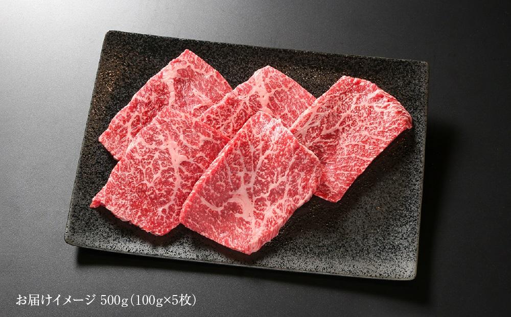 飛騨牛 赤身ステーキ 500g（100g×5） 冷凍真空パック | 肉 お肉 モモ肉 ステーキ 黒毛和牛 和牛 人気 おすすめ 牛肉 ギフト お取り寄せ【飛騨高山ミート MZ027】