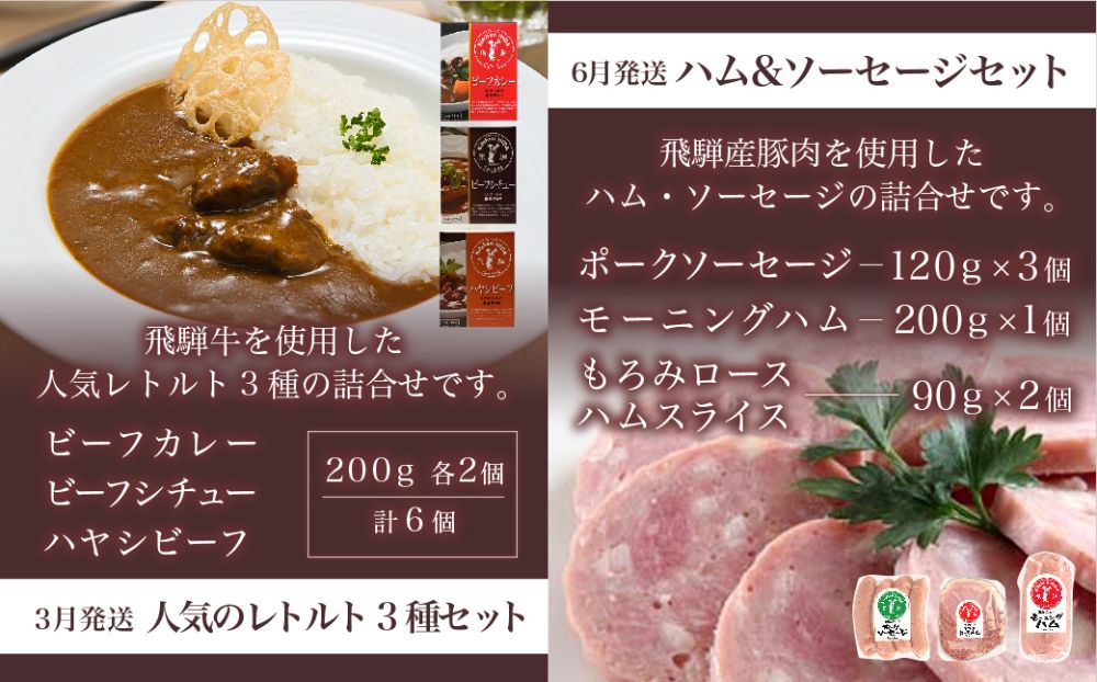 定期便】 1年間で4回お届け キッチン飛騨 レトルト カレー ハムセット ハンバーグ 缶詰 40000円 常温 冷凍 ビーフ ポーク カレー ビーフシチュー  ハヤシビーフ 飛騨ハム TR3916|JALふるさと納税|JALのマイルがたまるふるさと納税サイト