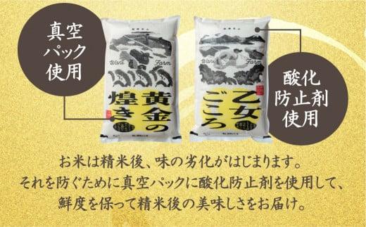 【定期便 6ヶ月】（全6回）令和6年度産 新米 もちもち食感の飛騨産ミルキークイーン「乙女ごころ」10kg(5kg×2) | 米 お米 白米 飛騨高山 和仁農園 MF101