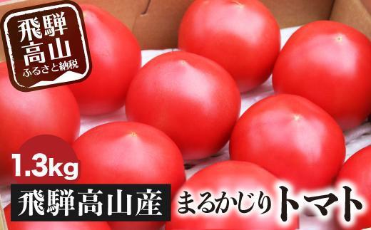 旬の味をお届け！果肉が厚くてみずみずしい 飛騨高山産トマト 『麗月』1.3kg | とまと トマト 産地直送 野菜 飛騨高山 まるかじり農園 FW001VC02