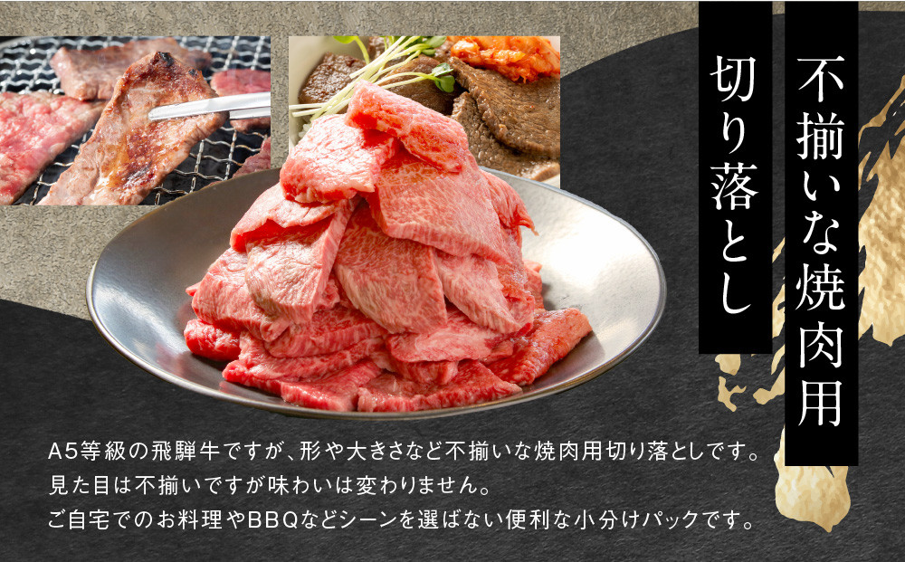 【形不揃い訳あり】A5等級飛騨牛 焼肉 切り落とし600g（冷凍配送）| 牛肉 肉 和牛 キャンプ 肉料理 ブランド牛 不揃い 人気 国産 お取り寄せ グルメ おすすめ 株式会社岩ト屋 HF045