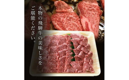 【希少部位】「肉の芸術品」飛騨牛ヒレ切り落とし肉焼肉用500g