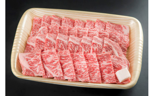 牛肉 飛騨牛 ロース肉 焼肉用 750g 牛 肉 ロース 焼き肉 赤身 飛騨