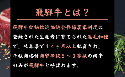 【数量限定！チルド（冷蔵）発送！】「飛騨牛」A5等級サーロインステーキ 200g×2枚 鉄板焼き 網焼き 焼肉 バーベキュー BBQ F4N-1239