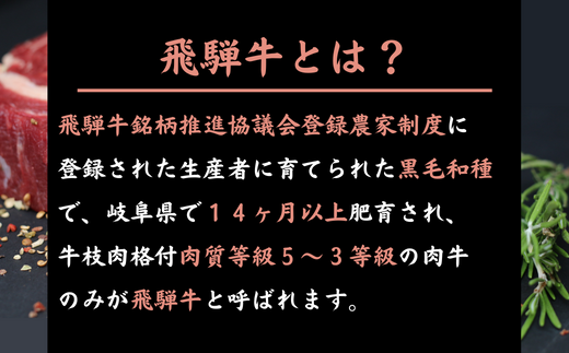 【数量限定！チルド（冷蔵）発送！】「飛騨牛」A5等級 焼肉3種盛り！ ロース・もも・バラ各300g 鉄板焼き 網焼き 焼肉 バーベキュー BBQ F4N-1250