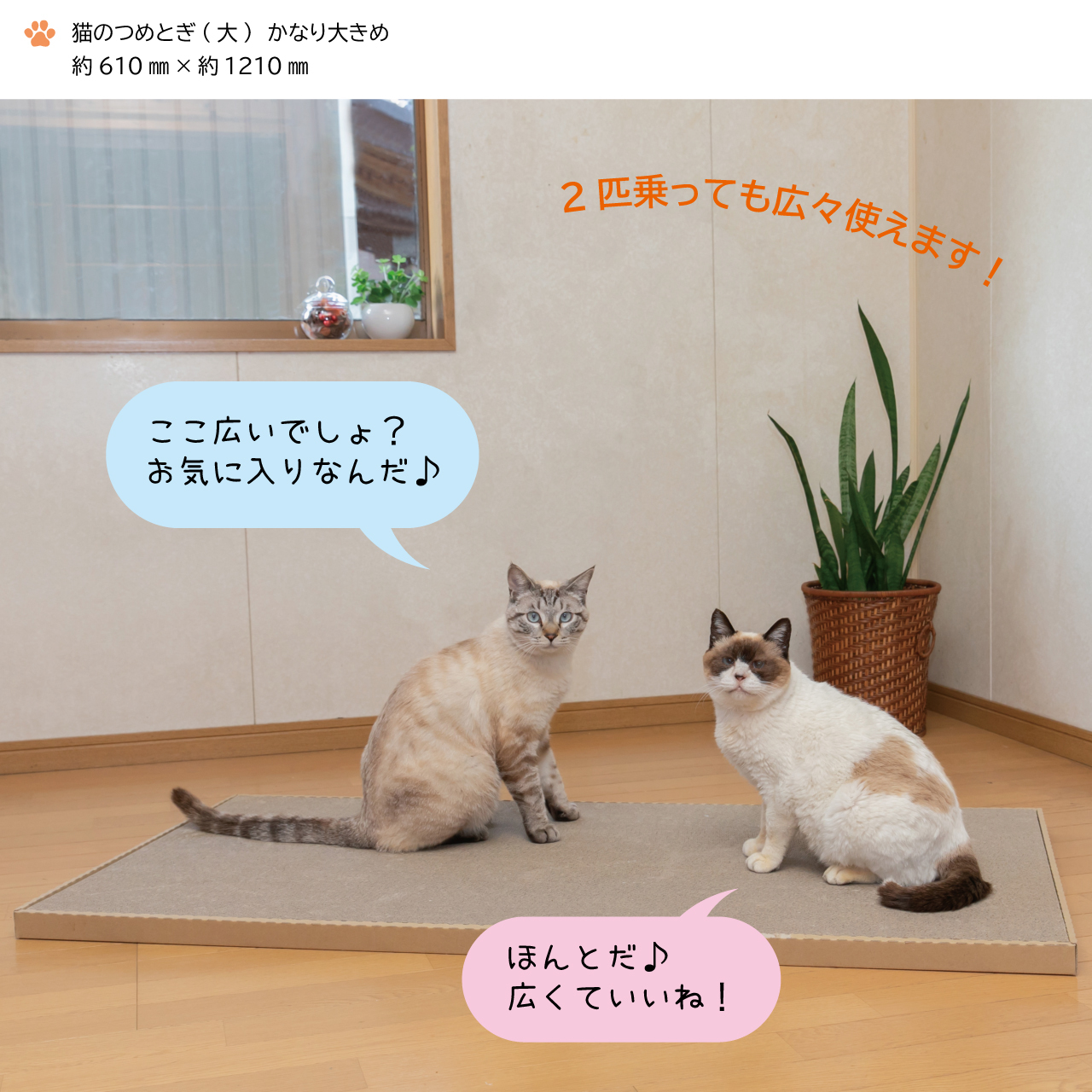 猫のつめとぎ（大）【かなり】おおきめサイズで2枚入り！ 16005 |JALふるさと納税|JALのマイルがたまるふるさと納税サイト