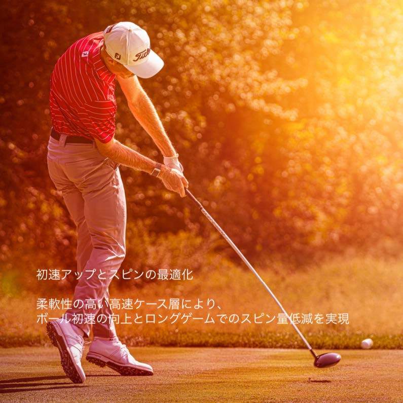 Titleist PRO V1 ホワイト 2ダース 中津川市オリジナルゴルフボール リニアロゴ入り タイトリスト【ふるさと納税限定】  44008-WT|JALふるさと納税|JALのマイルがたまるふるさと納税サイト