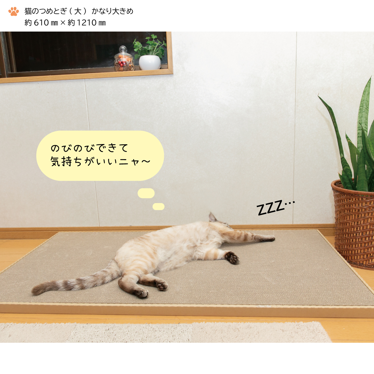 猫のつめとぎ（大）【かなり】おおきめサイズで2枚入り！ 16005 |JALふるさと納税|JALのマイルがたまるふるさと納税サイト