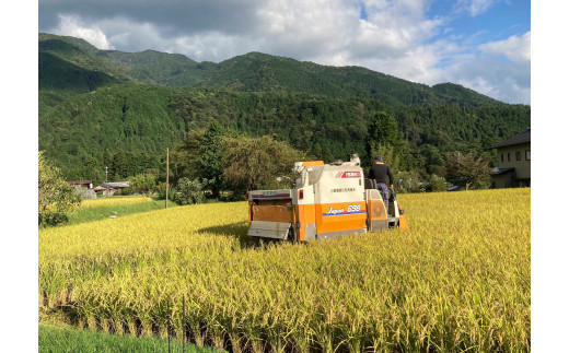 いのちの壱 3kg 加子母産 F4N-2737