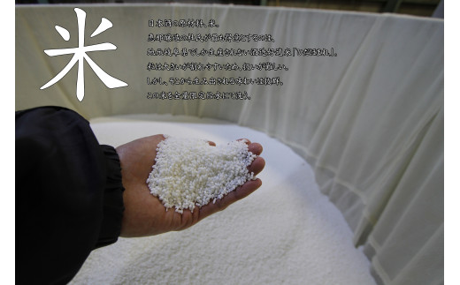 貂驟 縲碁ッィ豕「縲 邏皮アウ蜷滄ク 720ml F4N-2651