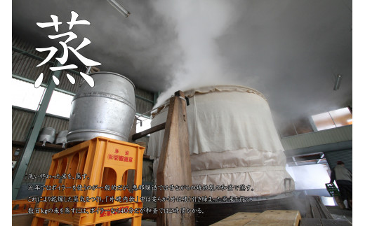 貂驟 縲碁ッィ豕「縲 邏皮アウ蜷滄ク繝サ邏皮アウ繧サ繝繝 F4N-2652