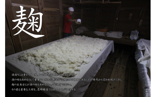 貂驟 縲碁ッィ豕「縲 邏皮アウ蜷滄ク繝サ邏皮アウ繧サ繝繝 F4N-2652