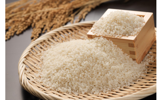 ＜テレビで紹介されました！＞令和7年度 皇室献上米『銀の朏』3kg 中津川市加子母産 栽培期間中化学肥料不使用 米 お米 コメ ごはん ご飯 食品 F4N-1863