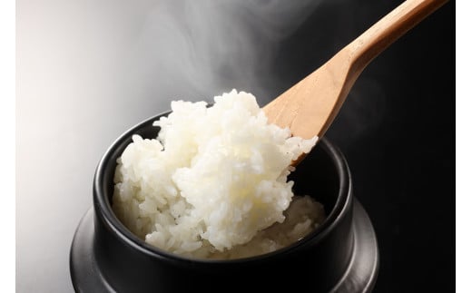 ＜テレビで紹介されました！＞令和7年度 皇室献上米『銀の朏』3kg 中津川市加子母産 栽培期間中化学肥料不使用 米 お米 コメ ごはん ご飯 食品 F4N-1863