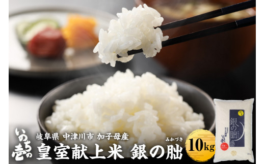 ＜テレビで紹介されました！＞令和7年度 皇室献上米『銀の朏』10kg 中津川市加子母産 栽培期間中化学肥料不使用 米 お米 コメ ごはん ご飯 食品 F4N-1865