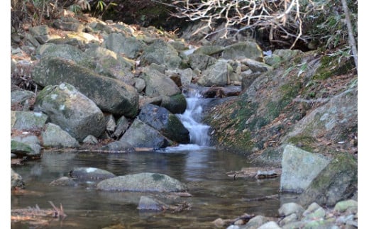 äžæŽ¥å·ãã£ã㢠S Caviar é£ã¹æ¯ã¹4çš®ïŒãªã·ã§ãã©ïŒ3çš®ïŒ F4N-1216