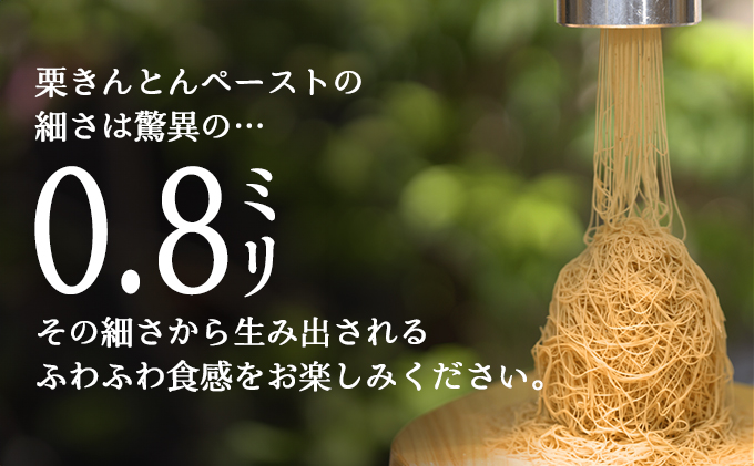 【新栗〜先行予約〜】 お重の栗きんとんモンブラン〜プレミアム〜 1箱 冷凍【和菓子処 一茶堂】和栗 国産栗 注文殺到のため12月上旬より受付順に数日〜最大6ヶ月で発送 F4N-0828