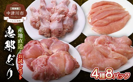 産地直送！恵那どり お試し4種 8パックセット 冷凍 F4N-2398