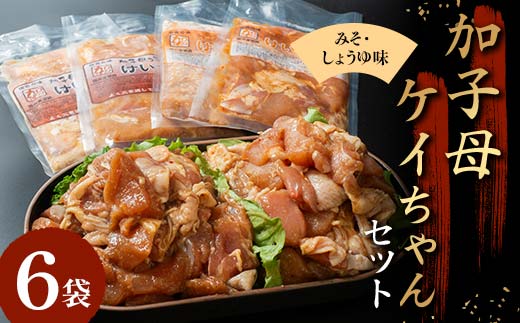 加子母ケイちゃんセット （鶏肉 みそ味 醤油味 計500g×2・200g×4） けいちゃん 鶏ちゃん アトラ生鮮館 F4N-1175