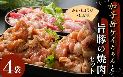 加子母ケイちゃんと旨豚の焼肉セット （鶏肉 500g×2 豚トロ 180g×1 豚バラ肉の塩麹200g×1） けいちゃん 鶏ちゃん アトラ生鮮館 F4N-1177