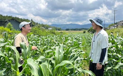 ＜奇数月6回定期便＞濃い味！朝採れ旬の野菜セット【12品目】 F4N-1623