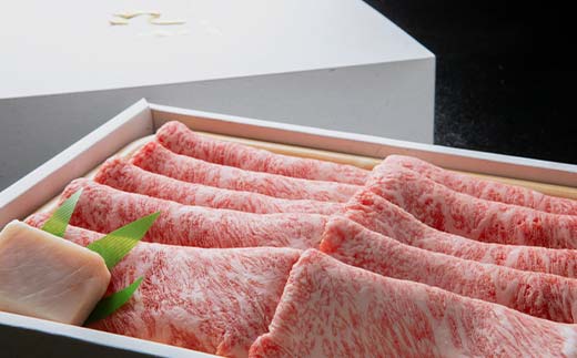 飛騨牛 すきやき用 サーロイン 250g×2 赤身 鍋 スライス肉 F4N-1639