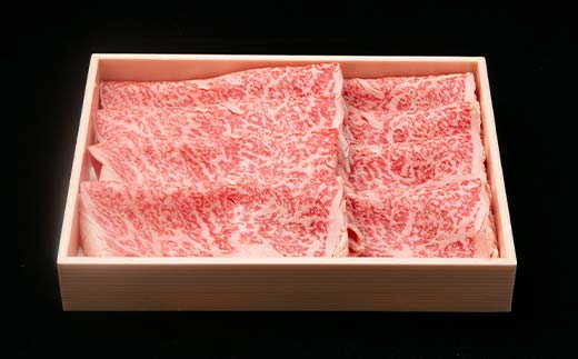 飛騨牛 すきやき用 サーロイン 250g×2 赤身 鍋 スライス肉 F4N-1639