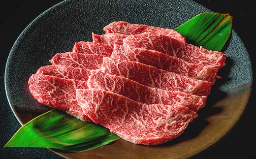 飛騨牛 焼肉用 モモ肉 500g 赤身 BBQ バーベキュー 鉄板焼き 網焼き F4N-1642